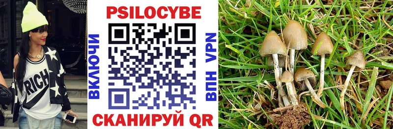 Галлюциногенные грибы Cubensis  как найти   Андреаполь 
